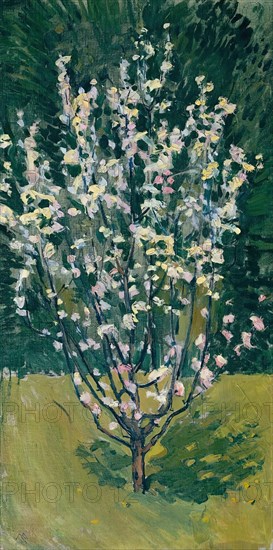 Blooming small tree, 1913. Creator: Koloman Moser.