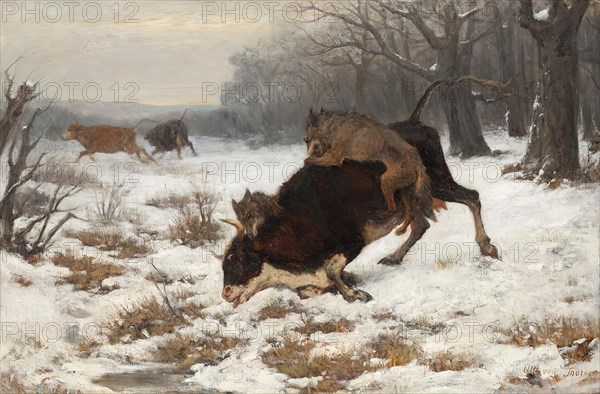 A cow is attacked by wolves, before 1872. Creator: Otto von Thoren.