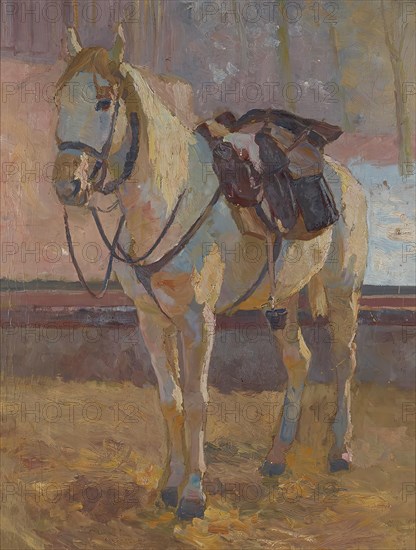 White horse under the saddle, 1897. Creator: Victor Eckhardt von Eckhardsburg.