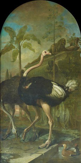 A pair of ostriches, a sarcophagus in the background, 1723. Creator: Ignaz Heinitz von Heinzenthal.