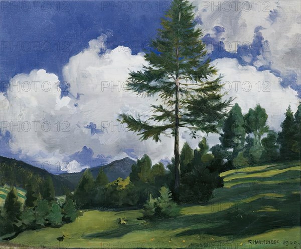 Motif near Toblach, 1909. Creator: Richard Harlfinger.