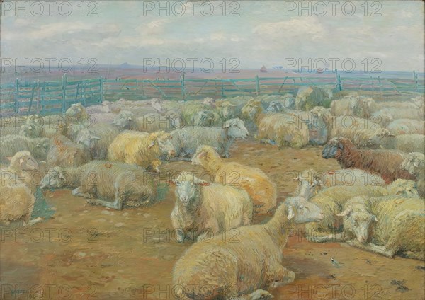 Sheep Park, 1904. Creator: Rudolf Konopa.