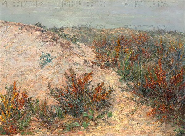 Dunes with sea thorns near Knokke, 1890. Creator: Emilie Mediz-Pelikan.