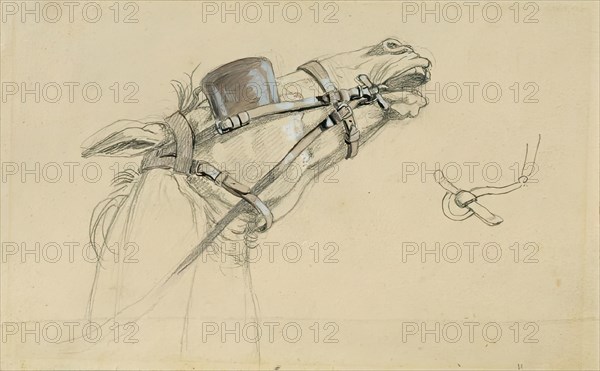 Study of a horse's head for "Return of Emperor Franz from Pressburg", before 1828. Creator: Johann Peter Krafft.