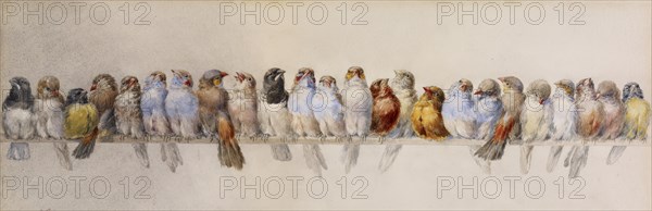 A Perch of Birds, c1880. Creator: Hector Giacomelli.