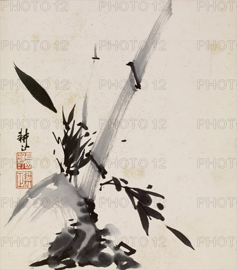Bamboo, 1900-1950. Creator: Unknown.