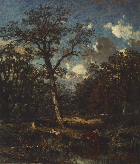 The Old Oak, 1845-1850. Creator: Jules Dupré.