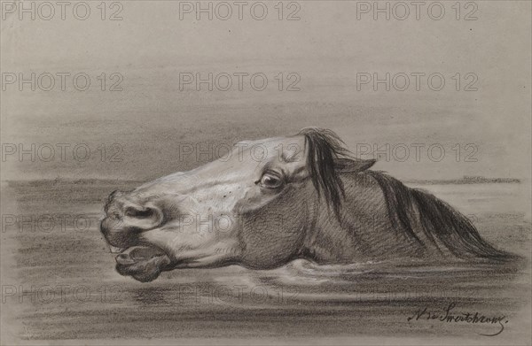 Head of a Swimming Horse, c1865. Creator: Nicolai Egorovich Sverchkov.