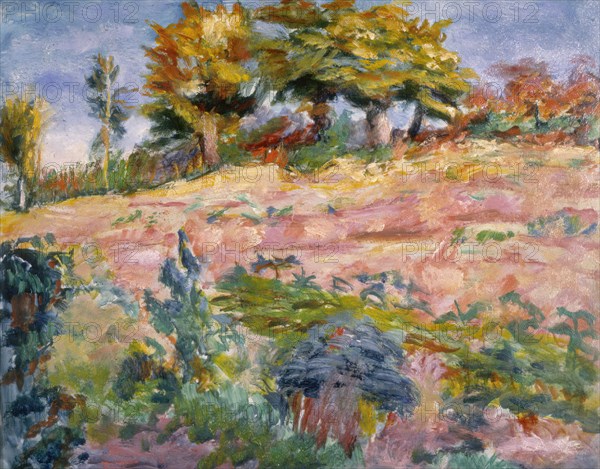 Landscape, early 20th century. Creator: Roderic O'Conor.