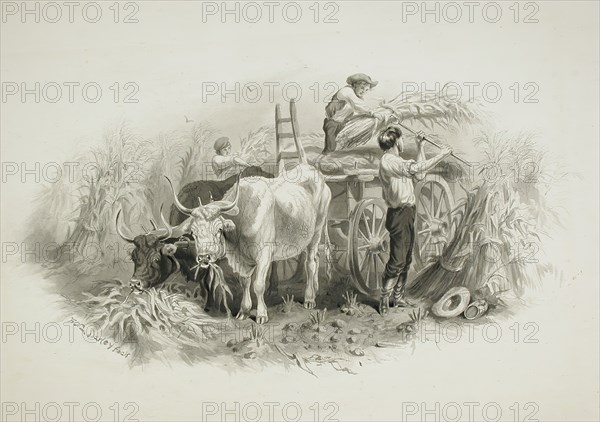 Haying Scene, 19th century. Creator: Felix Octavius Carr Darley.