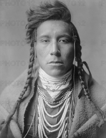 Bird on High Land, c1908. Creator: Edward Sheriff Curtis.