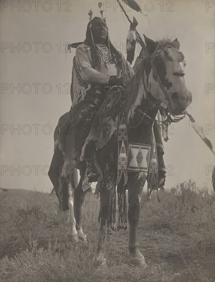 Bird On the Ground, 1908. Creator: Edward Sheriff Curtis.