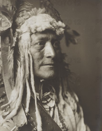 White Duck, c1908. Creator: Edward Sheriff Curtis.