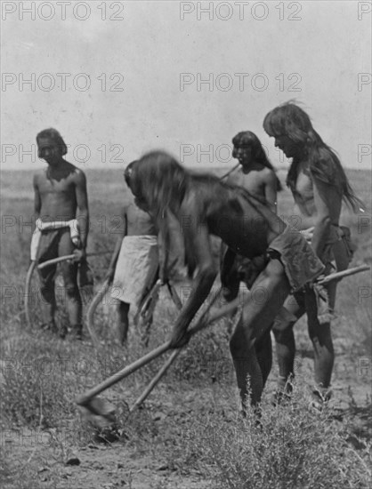 Digging out the snakes-Hopi, c1907. Creator: Edward Sheriff Curtis.