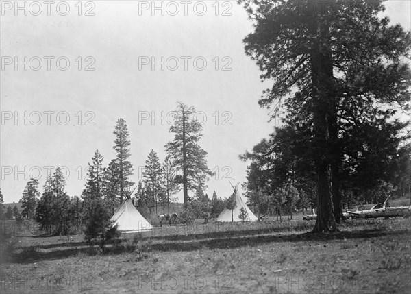 A mountain camp-Yakima, c1910. Creator: Edward Sheriff Curtis.