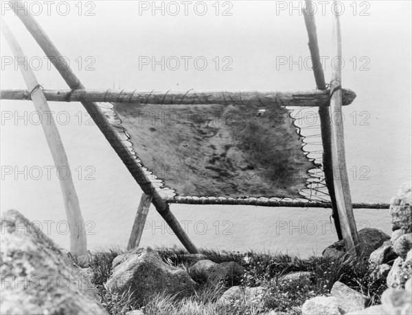 Drying walrus hide, Diomede, Alaska, c1929. Creator: Edward Sheriff Curtis.