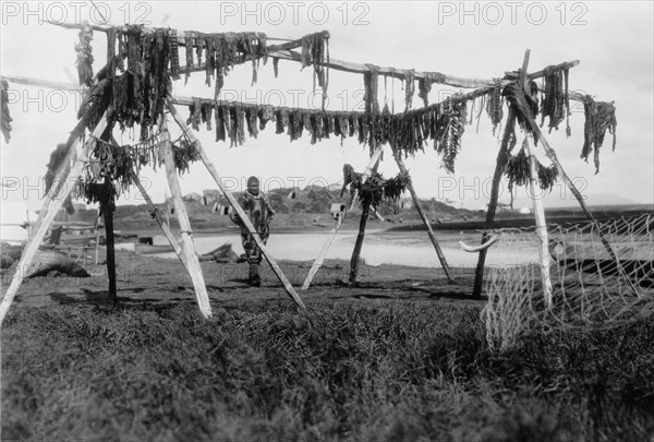 Drying whale meat-Hooper Bay, c1929. Creator: Edward Sheriff Curtis.