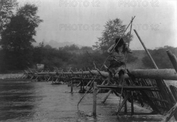 Fish-weir across Trinity River-Hupa, 1923. Creator: Edward Sheriff Curtis.