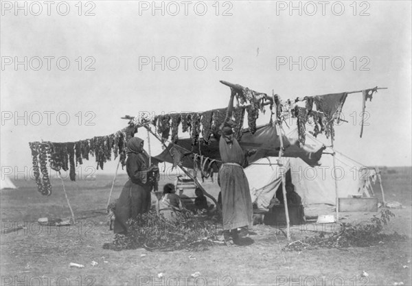 Drying meat, c1908. Creator: Edward Sheriff Curtis.