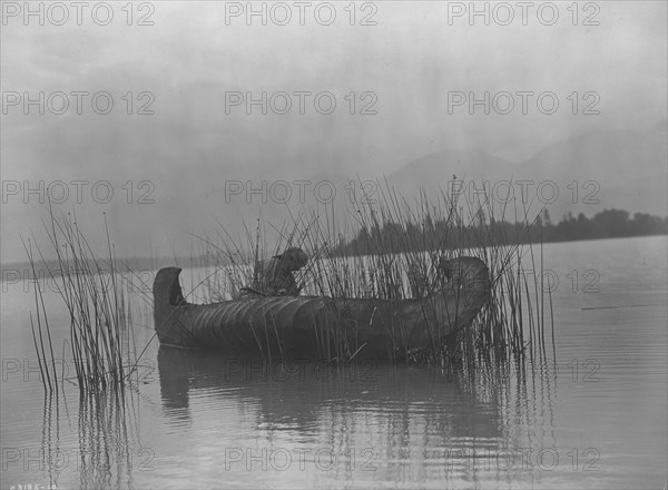 The rush gatherer-Kutenai [A], c1910. Creator: Edward Sheriff Curtis.