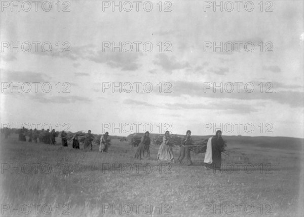 The brush-gatherers-Arikara, c1908. Creator: Edward Sheriff Curtis.