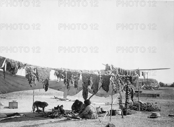 In camp, 1908, c1908. Creator: Edward Sheriff Curtis.