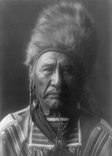 Old Dog-Apsaroke, c1908. Creator: Edward Sheriff Curtis.