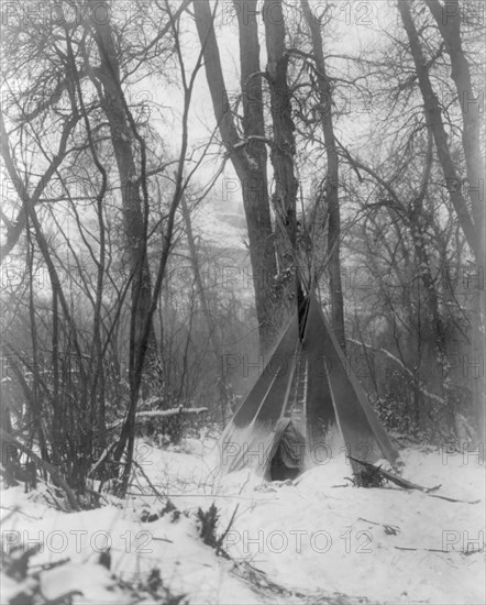 In the forest, c1908. Creator: Edward Sheriff Curtis.