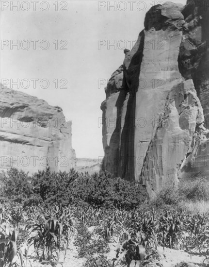 A Navaho farm, c1906. Creator: Edward Sheriff Curtis.