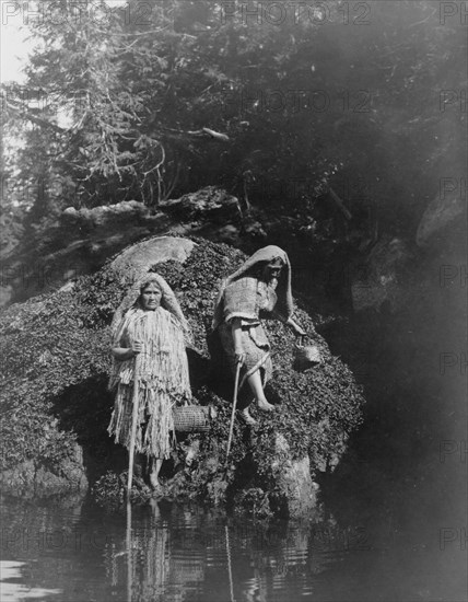 Gathering seaweed-Clayoquot, c1910. Creator: Edward Sheriff Curtis.