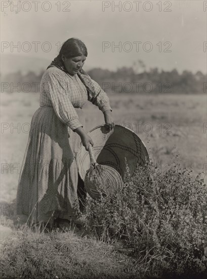 Gathering Seeds-Coast Pomo, c1924. Creator: Edward Sheriff Curtis.