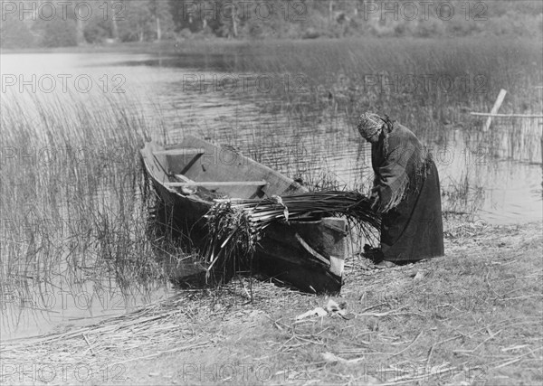 The tule gatherer, c1910. Creator: Edward Sheriff Curtis.