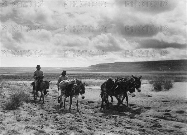 Burros and Moki men on the road, c1900. Creator: Edward Sheriff Curtis.