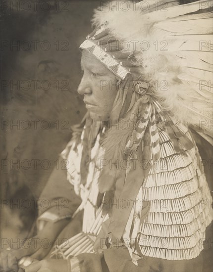 Mrs. Lame Dog, 1905. Creator: Edward Sheriff Curtis.