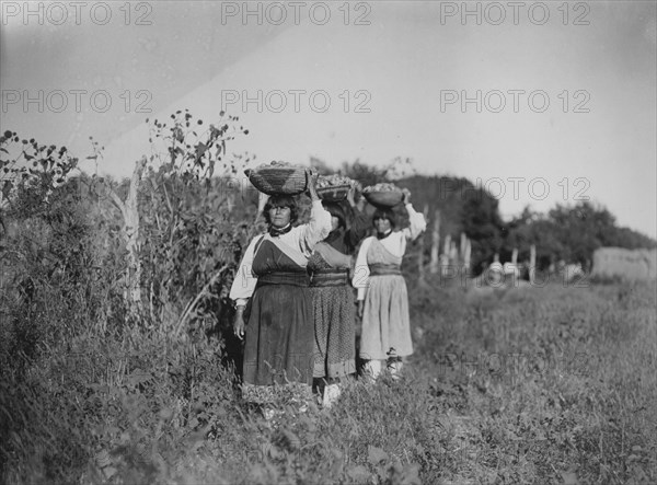 The Harvest-San Juan, c1905. Creator: Edward Sheriff Curtis.