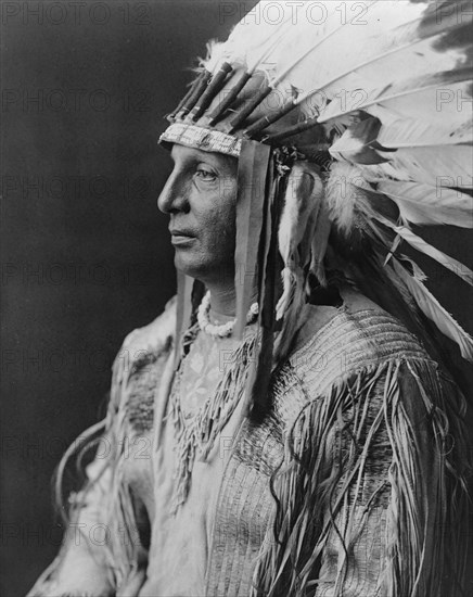 White Shield-Arikara, c1908. Creator: Edward Sheriff Curtis.