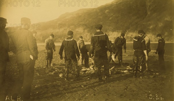 Men removing fish from seine, Baileys Harbor,1894 or 1895. Creator: Alfred Lee Broadbent.