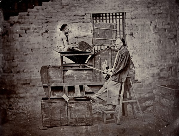 Tea sorting, end of 19th century. Creator: Nikolai Apollonovich Charushin.