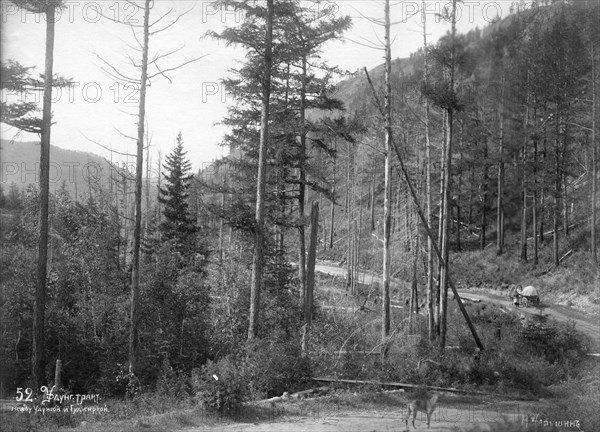 Udungui trade route, between Udunga and Gujirka., end of 19th century.  Creator: Nikolai Apollonovich Charushin.