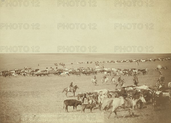 Round-up scenes on Belle Fouche [sic] in 1887, 1887. Creator: John C. H. Grabill.