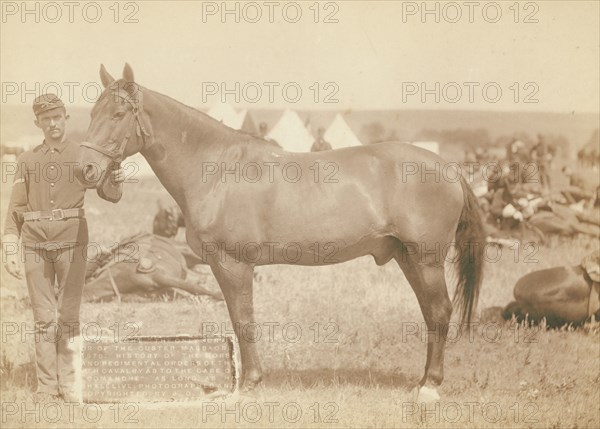 Comanche, the only survivor of the Custer Massacre, 1876 History of the horse and regimental...1887. Creator: John C. H. Grabill.