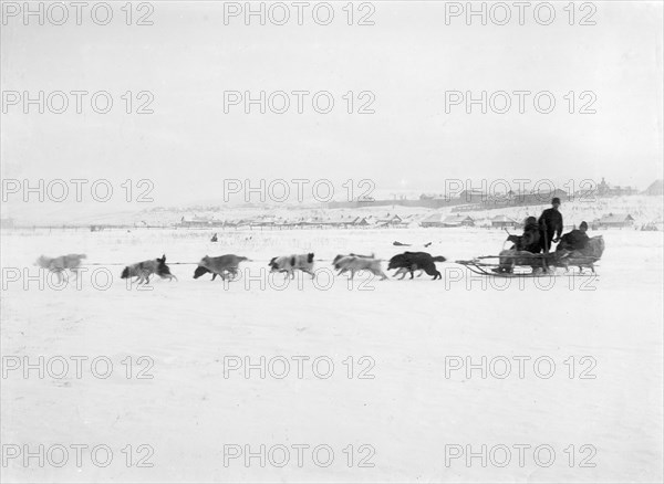 Driving Dogs, 1890. Creator: Ivan Nikolaevich Krasnov.