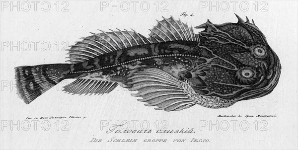 Slimy "Golovach", 1813. Creator: Pavel Ivanovich Maslovskii.