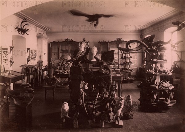 Paleontological and Archaeological Objects Collected from the Tyumen' Area., 1889. Creator: N Terekhov.