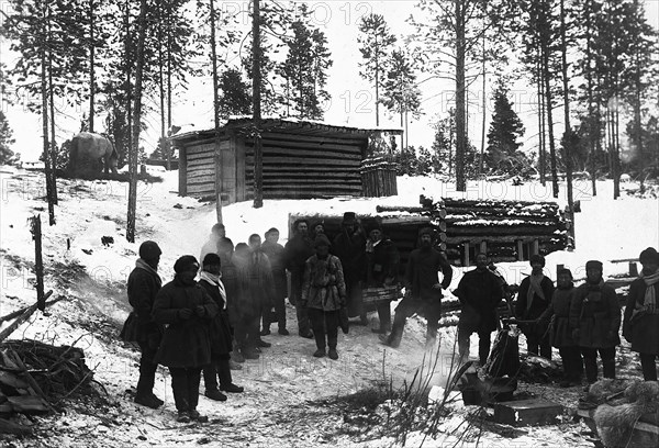 In the woods, 1890. Creator: Unknown.