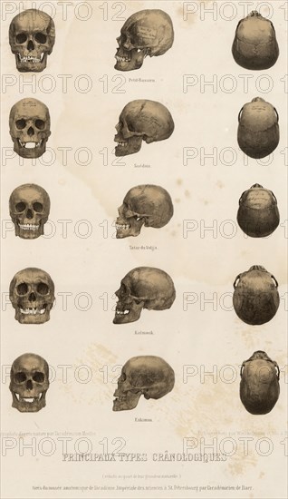 Main cranological types... 1862. Creator: Unknown.