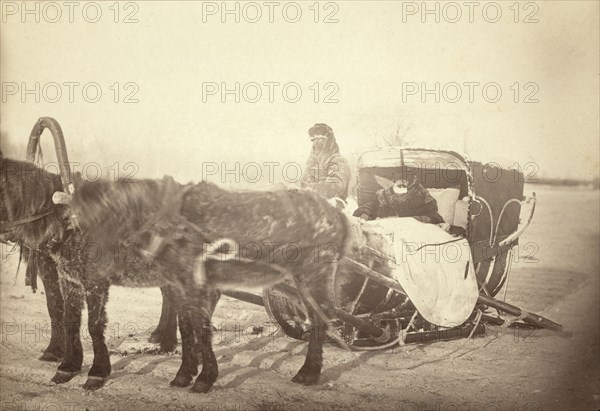 A Siberian posting sledge on a cold morning, between 1885 and 1886. Creator: George Albert Frost.