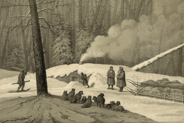 Overnight in the Forest (in the Northern Forests), 1856. Creator: Ivan Dem'ianovich Bulychev.