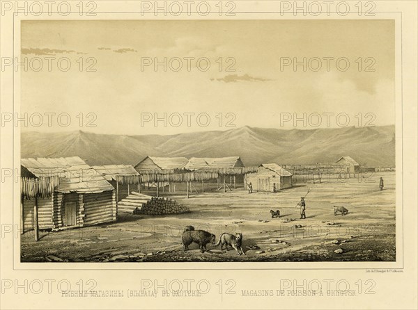 Fish Storehouses (Drying Racks) at Okhotsk, 1856. Creator: Ivan Dem'ianovich Bulychev.
