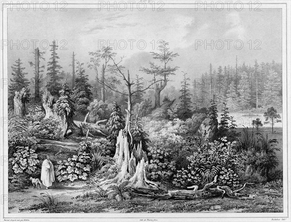 Vegetation around the settlement of Novo-Arkhangelsk (northwest coast of America), 19th century. Creators: Friedrich Heinrich Kittlitz, Louis-Pierre-Alphonse Bichebois.